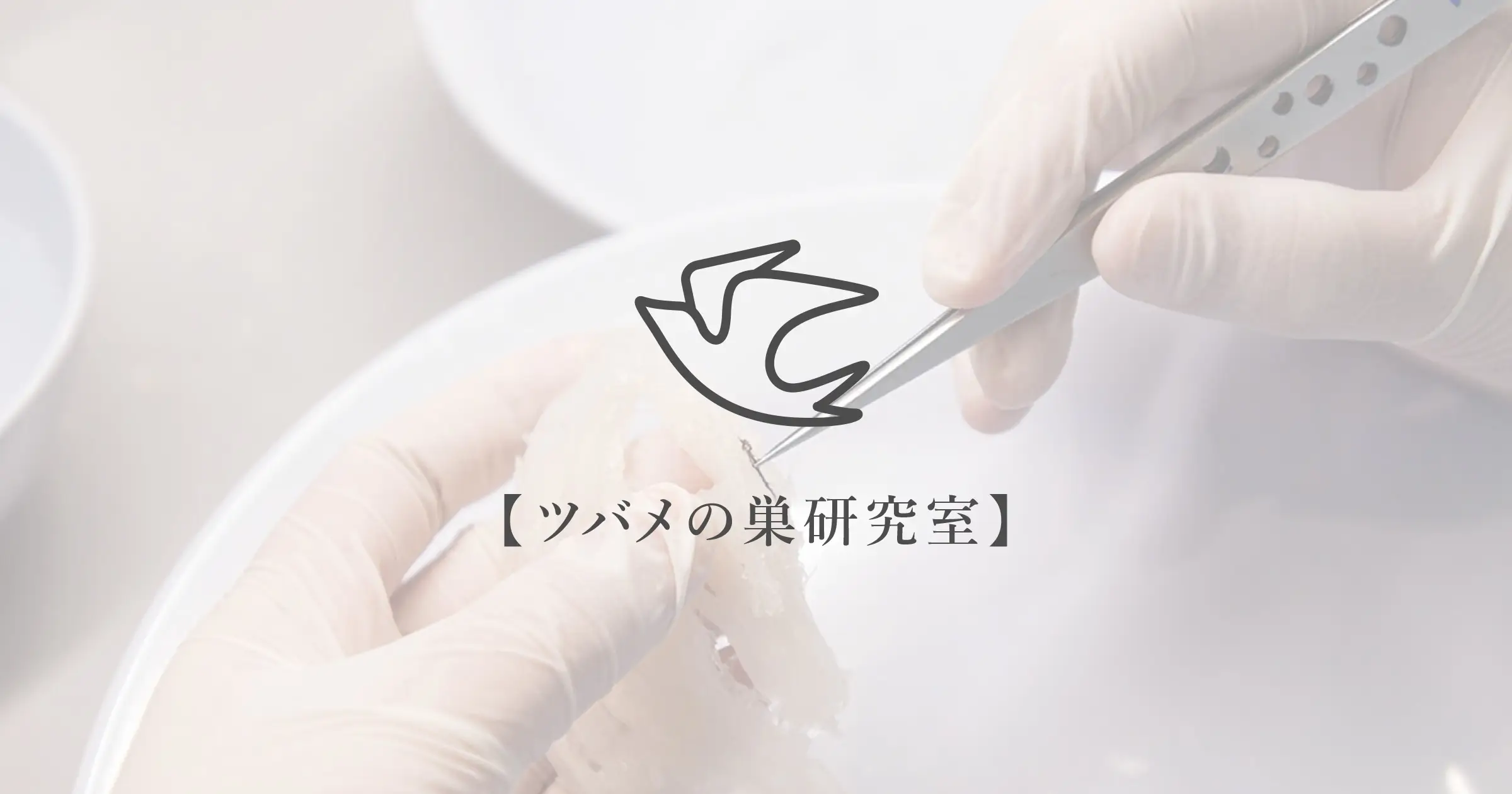 【燕vol.15】再生スイッチは、あなたの中にある"──EGFが目覚めさせる美と修復の力