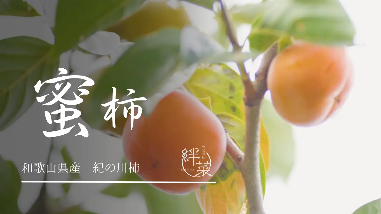 【数量限定販売】紀ノ川の奇跡「伝説の蜜柿」販売開始のお知らせ